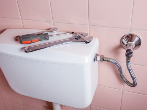 What Toilet Repairs Need Professional Help?